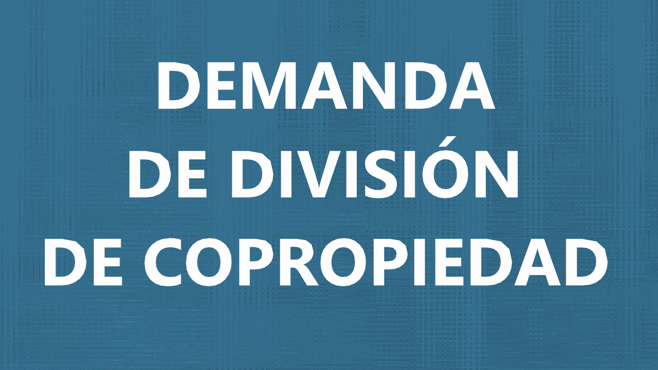 Demanda de división de copropiedad