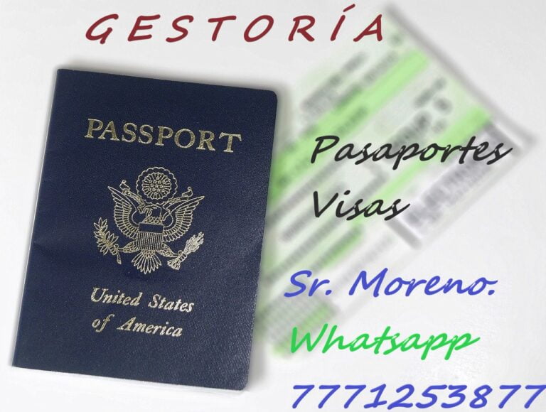 pasaportes gestoria 768x580 1