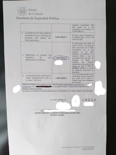 MEDIDASCAUTELARES2