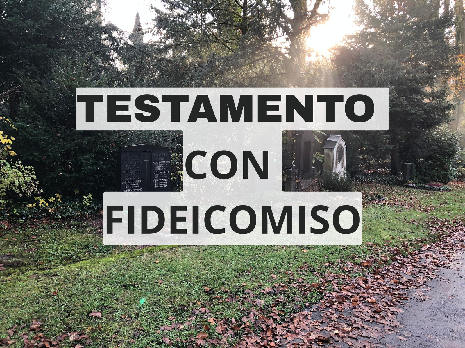testamento público abierto con fideicomiso