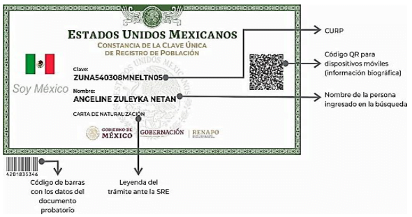 sg11 Cimg 1165496