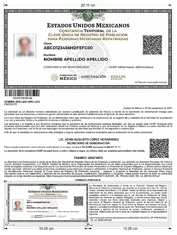 sg11 Cimg 1718953