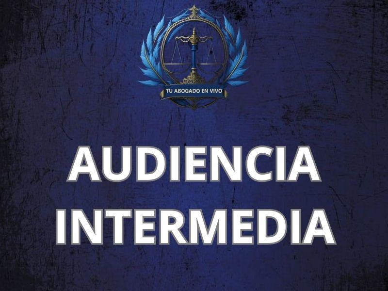 los elementos que integran la audiencia intermedia