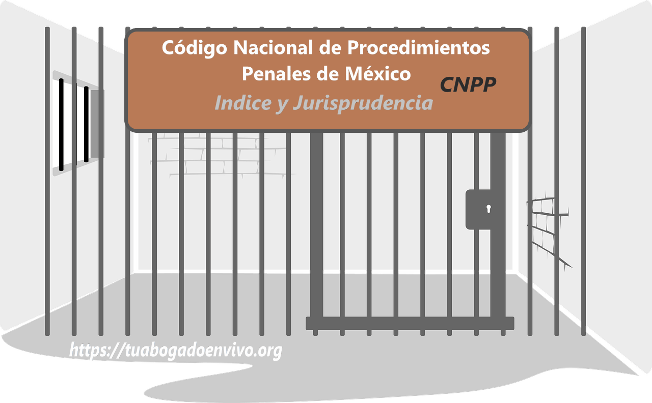 Código Nacional de Procedimientos Penales CNPP