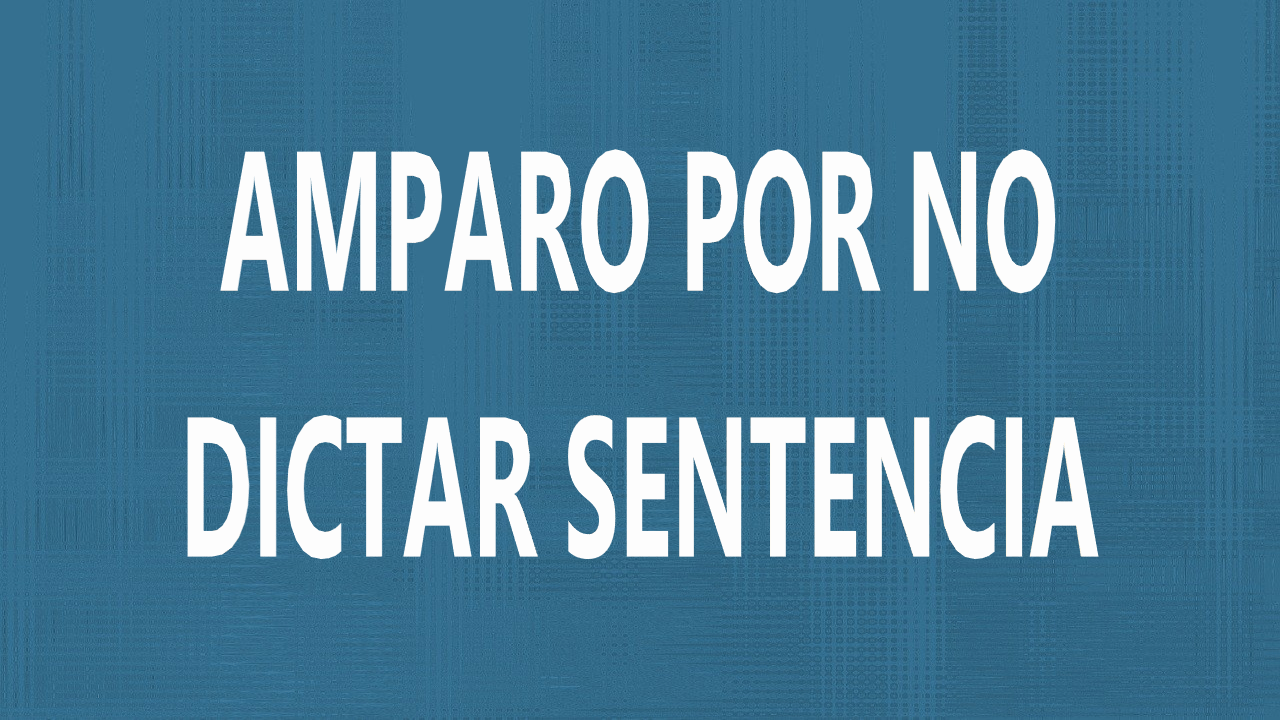 demanda de amparo por no dictar sentencia denegacion de justicia